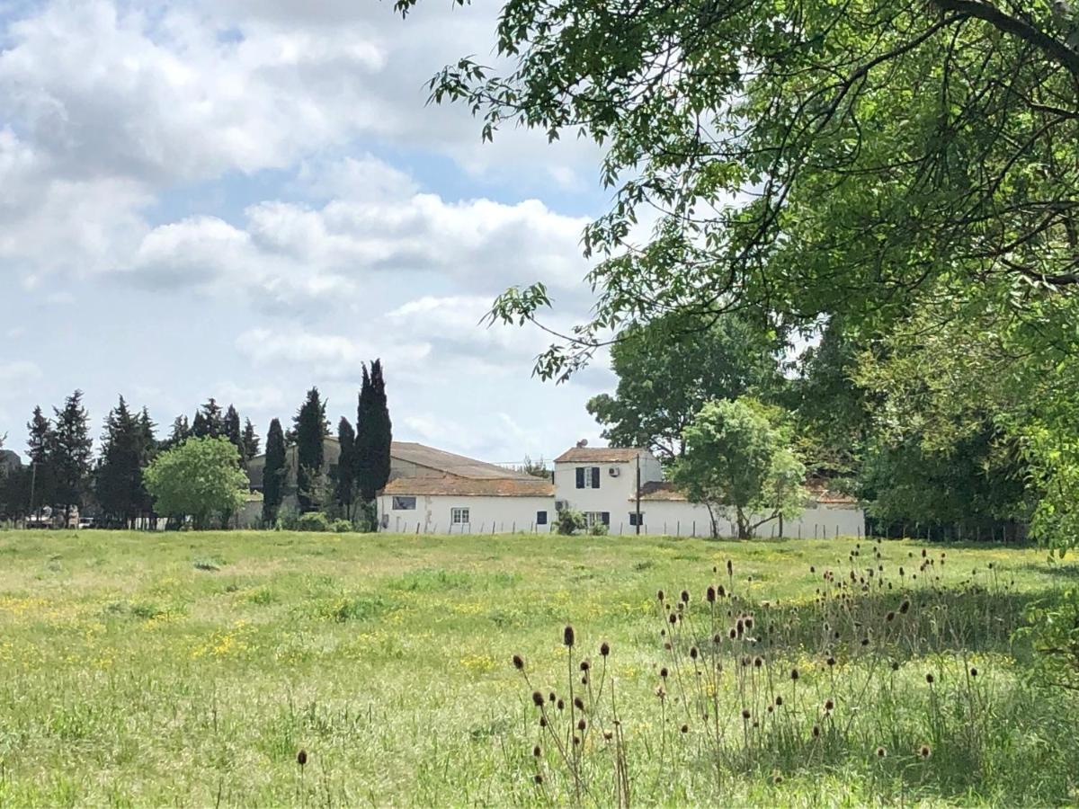 Mas Du Pont De Laute Villa Le Cailar Екстериор снимка